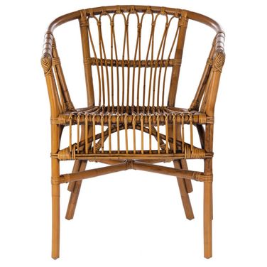 Adriana Rattan Accent Chair Set of 2 in Honey Brown