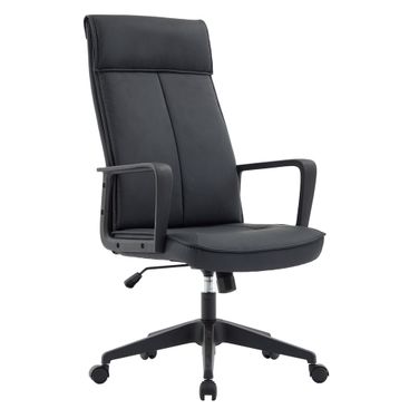 Aiaria Modern Office Chair In Black
