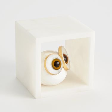 Alabaster Big Eyed Small Owl In Cube