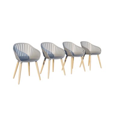 Amazonia Winterfell 4-Piece Chairs Set In Grey