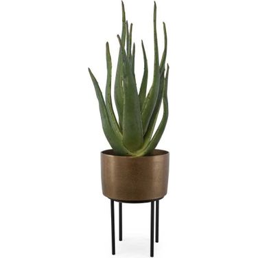 Arabia Aloe Planter In Green