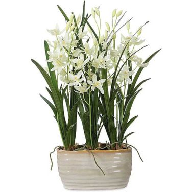 Ariana Orchid Planter In White