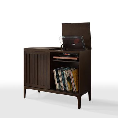 Asher Record Storage Media Console In Dark Brown