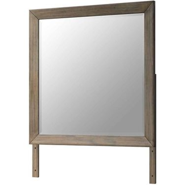 Asheville Mirror (Driftwood)