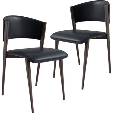 Aspen Modern Dining Chair Set of 2 In Black
