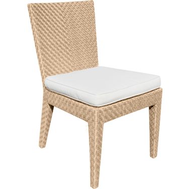 Austin Dining Side Chairs with Cushions In Natural - Set of 2