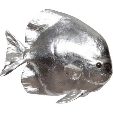 Australian Batfish PH64557