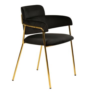 Axis Modern Gold Dining Chair In Black