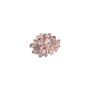 Barnacle Cluster Medium Decorative Wall Art In Natural White