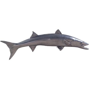 Barracuda Fish PH64559