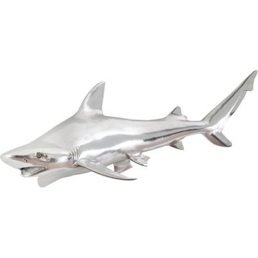 Black Tip Reef Shark PH63680