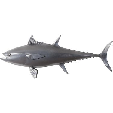 Bluefin Tuna Fish PH64548