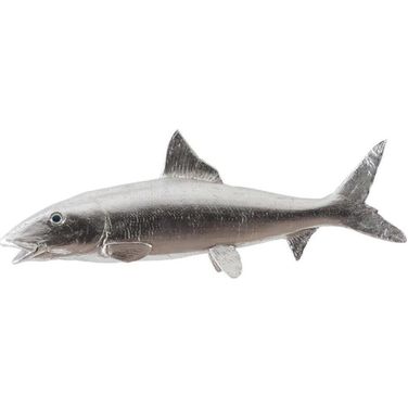 Bonefish PH66835