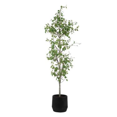 Boreal Potted Birch Tree In Gray and Green