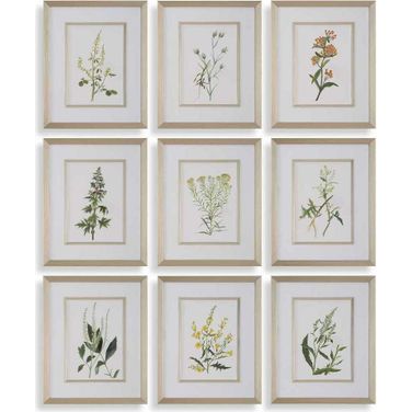 Botanical Flowers Framed Prints Set of 9 In Multi
