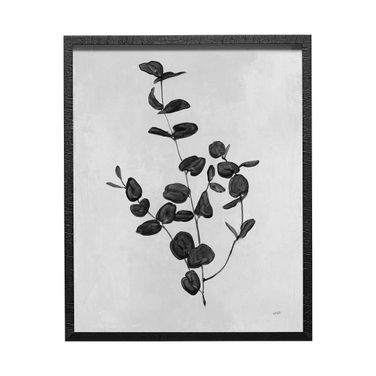 Botanical Study II Wall Art In Black and White