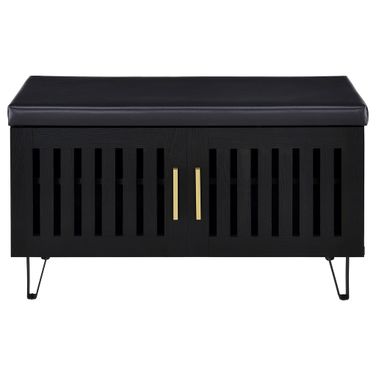 Brixton 2-Door Padded Entryway Shoe Storage Bench In Black