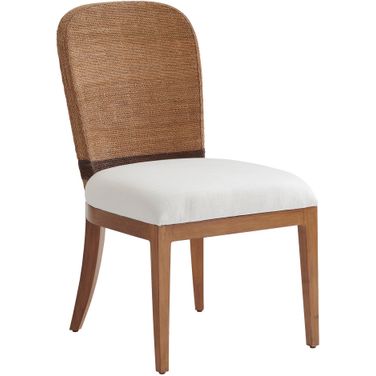 Palm Desert Bryson Woven Side Chair In Sonoran