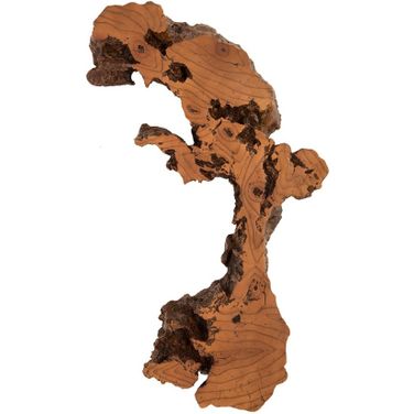 Burled Root Wall Art In Brown