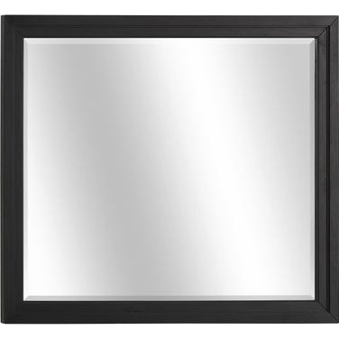 Camden Landscape Mirror In Domino
