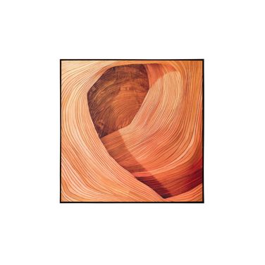Canyon Dreams II 48" x 48" Accent Wall Art In Black and Orange