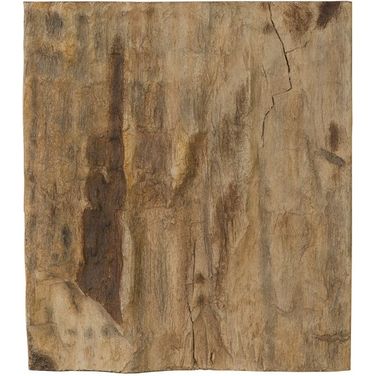 Cast Petrified Wood Wall Tile PH89988