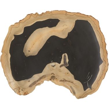 Cast Petrified Wood Wall Tile PH92564