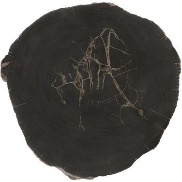 Cast Petrified Wood Wall Tile PH93154