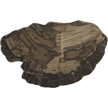 Cast Petrified Wood Wall Tile PH94505