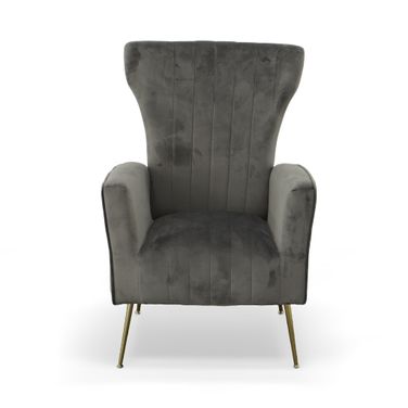 Cela Velvet Upholstered Wingback Chair In Gray and Gold