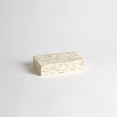Chiseled Small Bone Storage Box In White