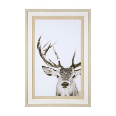 Ciervo Framed Series In Black/White/Gray