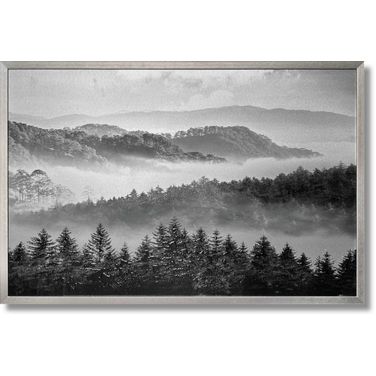 Classic Misty Forest Aluminum Wall Art In Black and White