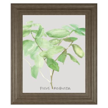 Classy Art Ficus Elegance Wall Art In Brown and Green