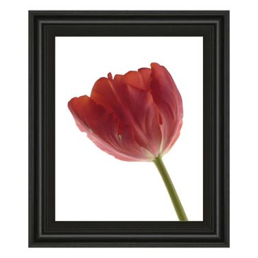 Classy Art Red Tulip Wall Art In Multi