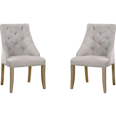 Diocles Silver and Light Gray Side Chair Set Of 2