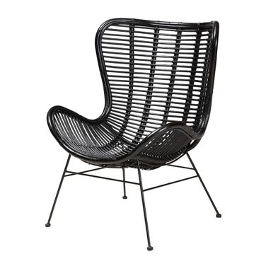 Colorado Rattan and Metal Accent Chair In Black
