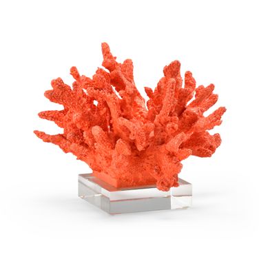 Coral In Red