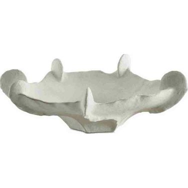 Coral Mirage Outdoor Bowl In White
