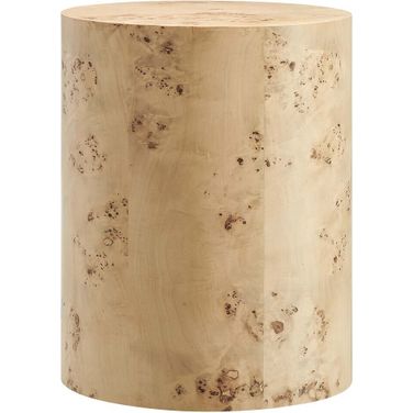 Cosmos 16 Inch Round Burl Wood Side Table In Burl