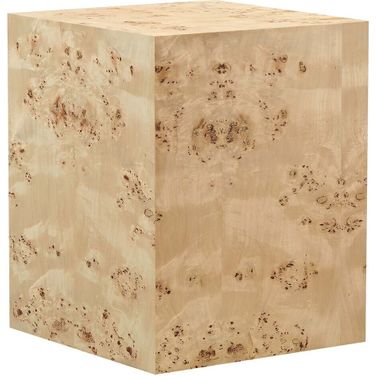 Cosmos 16 Inch Square Burl Wood Side Table In Burl
