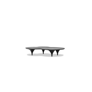 Coupe Coffee Table Birch Legs In Vintage Black Wash