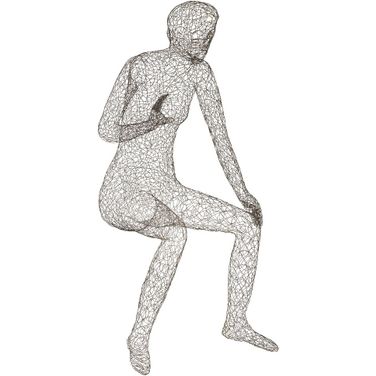 Crazy Wire Lounging Female CH64907