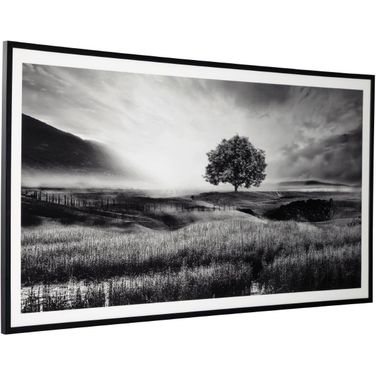 Deborland Black And White Wall Art