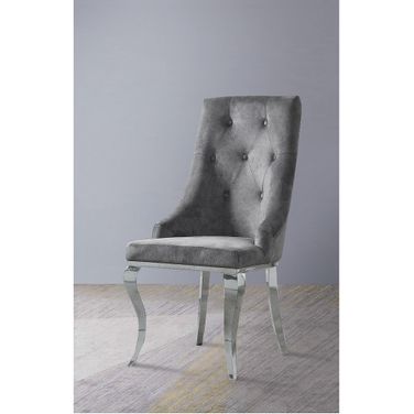 Dekel Side Chair (Gray) (Set of 2)