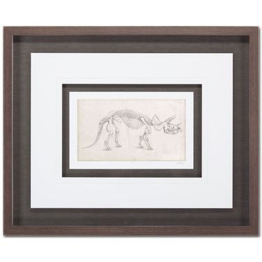 Dinosaur Study MC II Framed Wall Art In Black and Brown