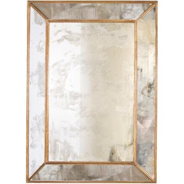 Dion Antique And Gold Leaf Rectangular Mirror