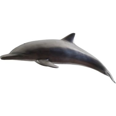 Dolphin PH64554