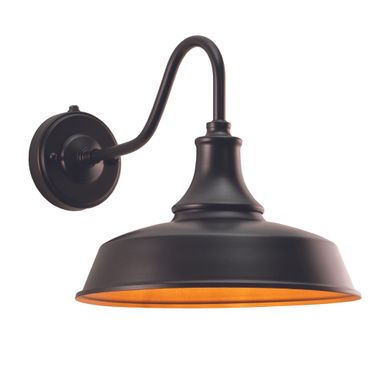 Dorado 9 Inch Outdoor Wall Light In Dark Bronze and Light Gold