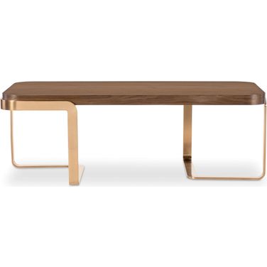 Eleana Cocktail Table In Walnut and Bronze
